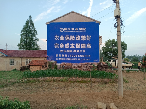 广昌墙体广告为何受追捧？